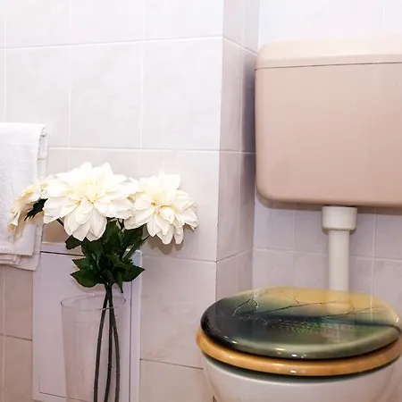 Diana Boulevard شقة *